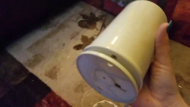 Why won't my guinea pig eat hay?|How to fix it| смотреть онлайн