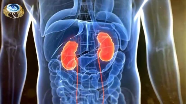 Семена во здравие / чистим сосудистую систему смотреть онлайн