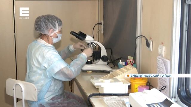 «Вектор развития»: как работает «Поезд здоровья» смотреть онлайн