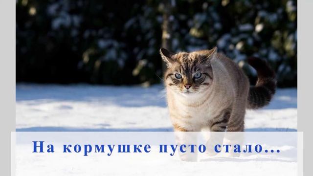 Стихи детям. На кормушке смотреть онлайн