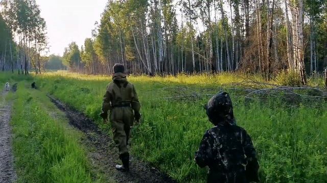 Летняя прогулка с собаками! Лайки ВСЛ! смотреть онлайн