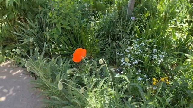 Ейск?Письмо. Варька. Еду в гости... смотреть онлайн