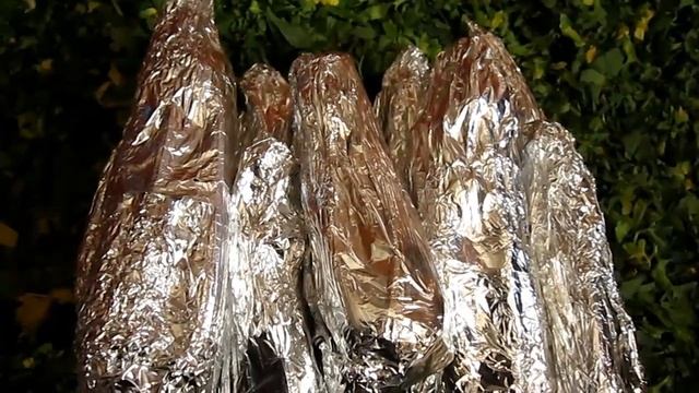 Хранение ЧЕРЕШКОВОГО СЕЛЬДЕРЕЯ зимой/ Применение смотреть онлайн