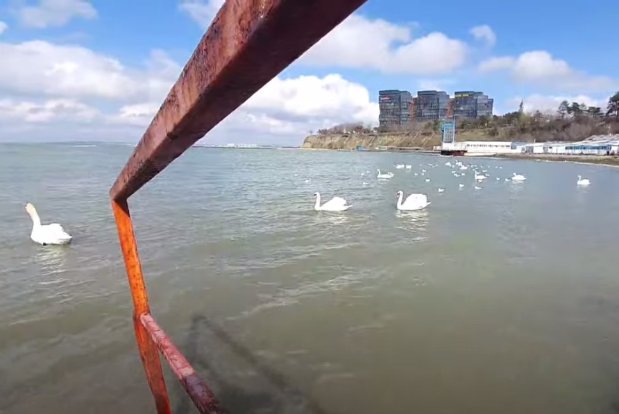 Анапа 5 марта 2022 г. смотреть онлайн