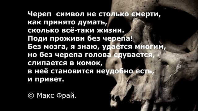 Череп символ жизни смотреть онлайн