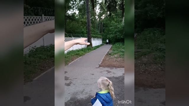 26.05.2023 ЗАЩИТА КОМИТЕТСКОГО ЛЕСА В КОРОЛЁВЕ! смотреть онлайн