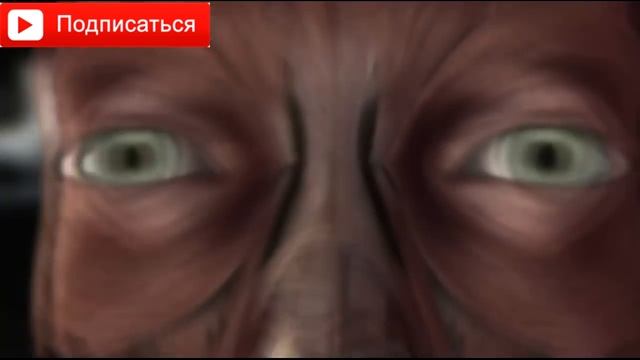 Необычные факты о нашем теле - Мозг смотреть онлайн