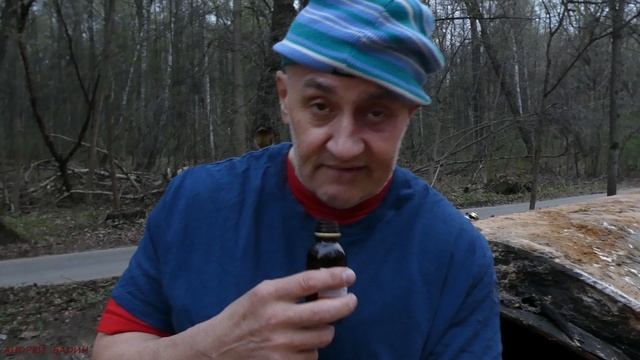 Андрей Бадин