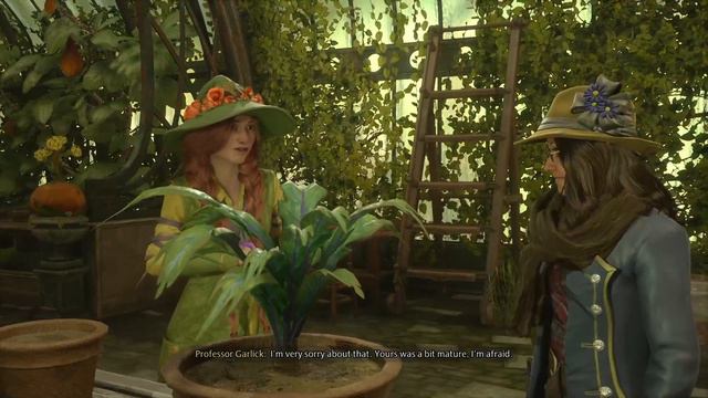 Hogwarts Legacy Professor Garlick смотреть онлайн