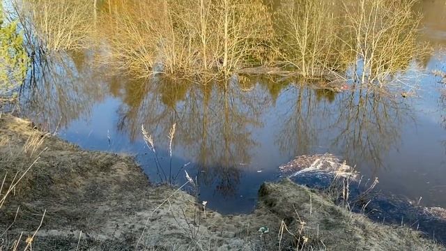 Быстрая сырная пицца на сковороде! Мощный разлив реки! Жизнь в деревне! #пицца #река #разливреки смотреть онлайн