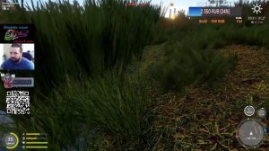 Фарм На Ахтубе / Русская Рыбалка 4 / РР4 Стрим