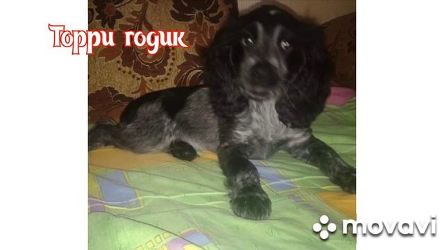 травления ножей все объясняю как сделать , Первая часть зоновский способ смотреть онлайн