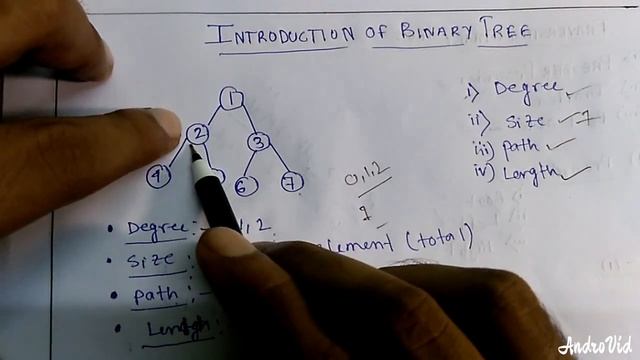 Introduction of Binary Tree: Degree, Size, Path, Length смотреть онлайн