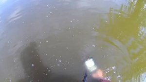 Minelab Equinox 800-в поисках ЗОЛОТА  под  водой! Пляжный поиск скупом и металлоискателем!