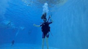 Дайвинг в Минске. Дайвинг - подарок для девушки.