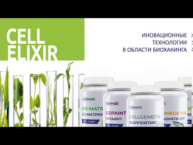 Презентация компании AGenYZ