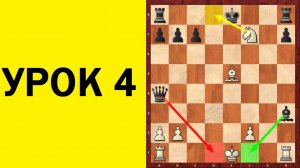 Шахматы для начинающих. Урок 4. Школа шахмат d4-d5.