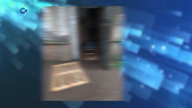 Потоп в Сегеже смотреть онлайн