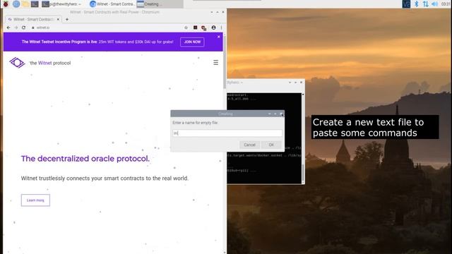 How to setup a Witnet Node on a Raspberry Pi смотреть онлайн