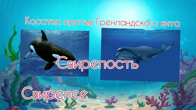 Косатка против Гренландского кита смотреть онлайн