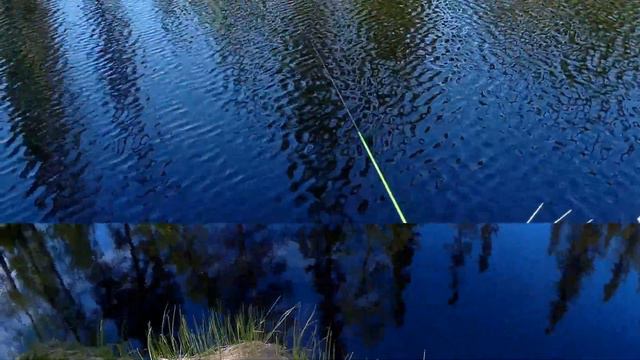 тестирование новой искусственной силиконовой приманки опарыша смотреть онлайн