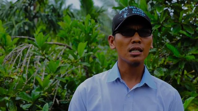 Indikasi Geografis Kopi Liberika Rangsang Meranti смотреть онлайн