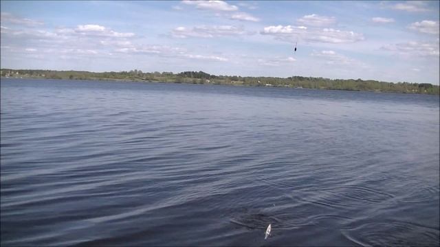 ТЕСТ. Маховые удочки 4.5 м MAVER и BLACK HOLE. смотреть онлайн