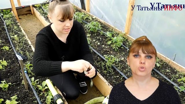 ТАК СТОИТ ЛИ обрабатывать свои комнатные и огородные растения ПЕРЕКИСЬЮ ВОДОРОДА? смотреть онлайн