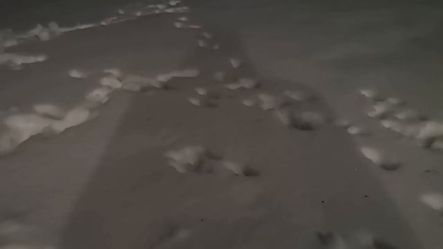 Цены подняли ещё в гору пшеница, кукуруза, семка смотреть онлайн
