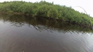 ✅СЕВЕРНЫЙ ТИМАН| ПУТЕШЕСТВИЕ| ПОХОД|СПЛАВ 450 км| НЕВЕРОЯТНАЯ РЫБАЛКА #1