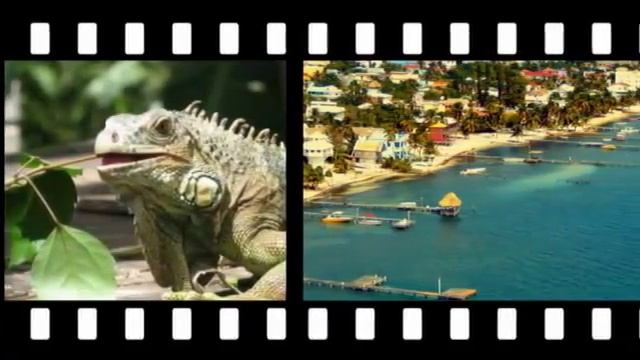 Город Бельмопан! столица Белиза!! Belmopan City! capital of Belize! смотреть онлайн