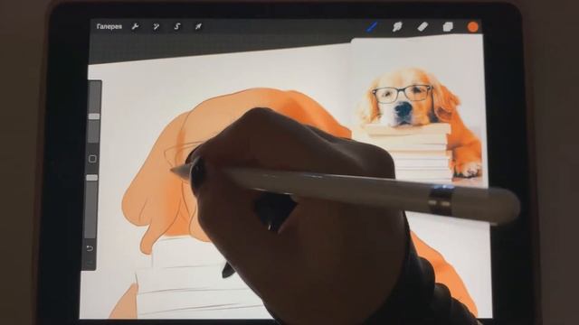 Рисуем вместе в Procreate 1 ЧАСТЬ. Самый детальный урок для новичков и не только. (Nadi_arty)