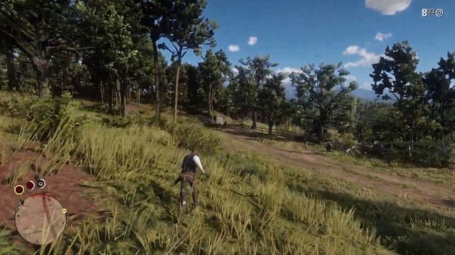 RDR 2 – Rampage Trainer Installation | Player and Ped Size Scaling Mod | Red Dead Redemption II смотреть онлайн