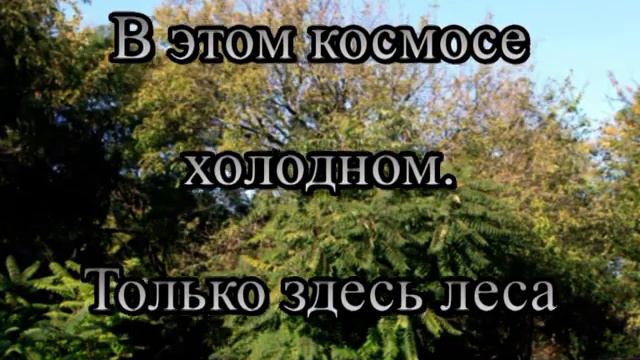 "ВСЕМИРНЫЙ ДЕНЬ БОРЬБЫ С ОПУСТЫНИВАНИЕМ И ЗАСУХОЙ" видео открытка смотреть онлайн