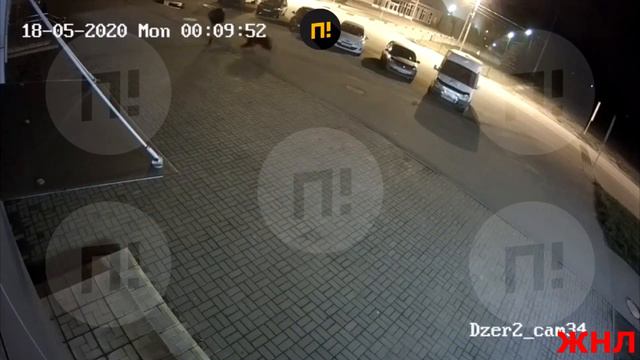 Медведь на улице нападает на человека