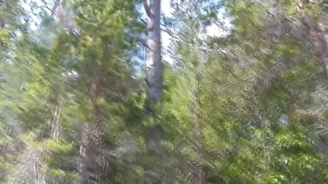 Отчет из Карелии. Часть 1. Проект Чистота. смотреть онлайн