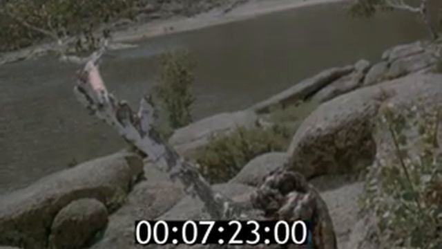 Баянаул, 1979 год смотреть онлайн