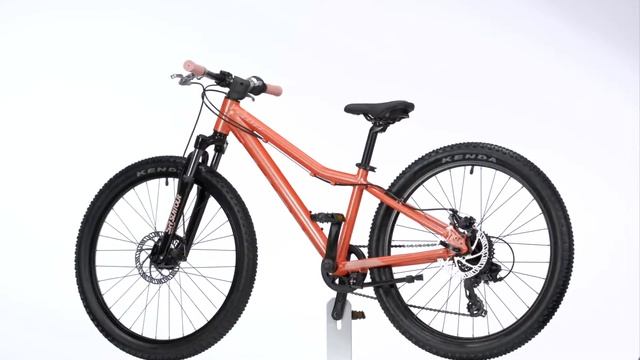 SCOTT CONTESSA 24 DISC 2021 смотреть онлайн