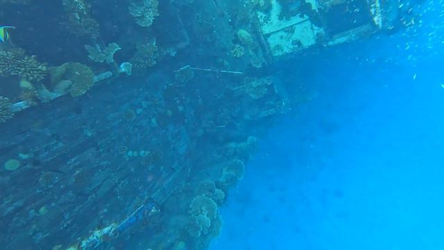 Maldives. Vaavu Shipwreck смотреть онлайн
