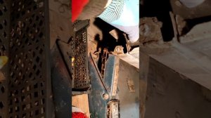 шкода рапид Чистка пространства под передними подкрылками