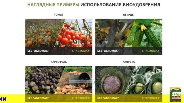 Удобрение для картофеля агромакс цена смотреть онлайн