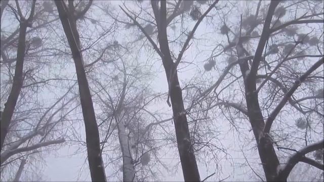 Бедолага Туман... смотреть онлайн