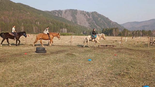 сегодня занятие в падах, кому не хватило без седла(2) смотреть онлайн