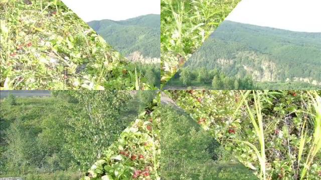 В окрестностях Гастелло + проект Сахалин-2(НКС) смотреть онлайн