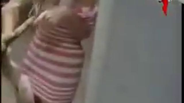 Мистер питон смотреть онлайн