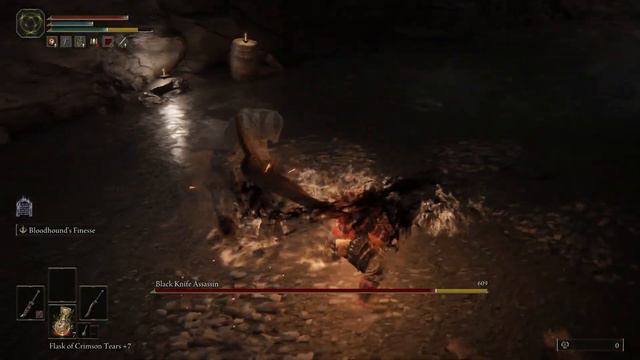 Beating a Black Knife Assassin Elden Ring смотреть онлайн