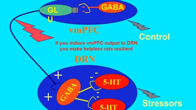 SSCP Virtual Clinical Lunch. Cognitive Therapy and Antidepressant Medications, by Dr. Steve Hollon смотреть онлайн