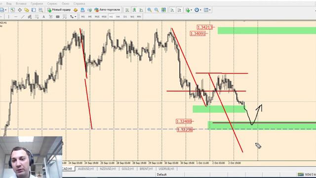 Технический анализ валютного рынка на 05 октября от Виктора Панькова смотреть онлайн