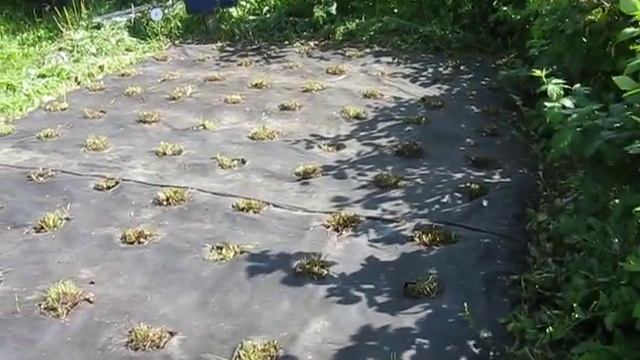 дача, заготовки 052