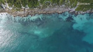 Совместимость: женщина-телец и мужчина-козерог